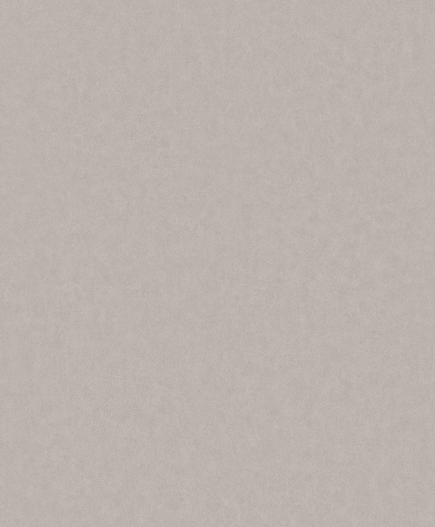 Papel Mural / 220502 (Grand Safari)