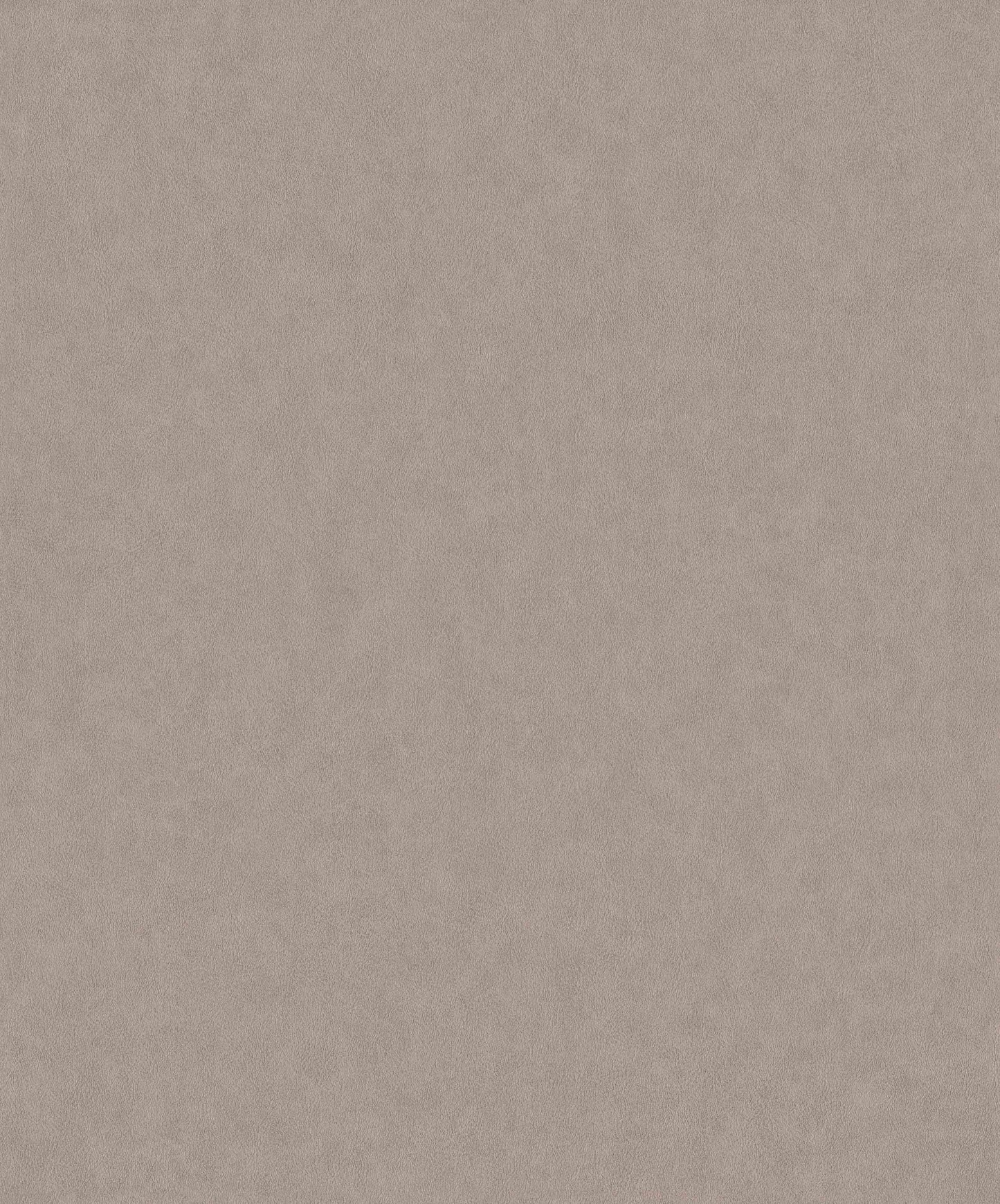 Papel Mural / 220504 (Grand Safari)