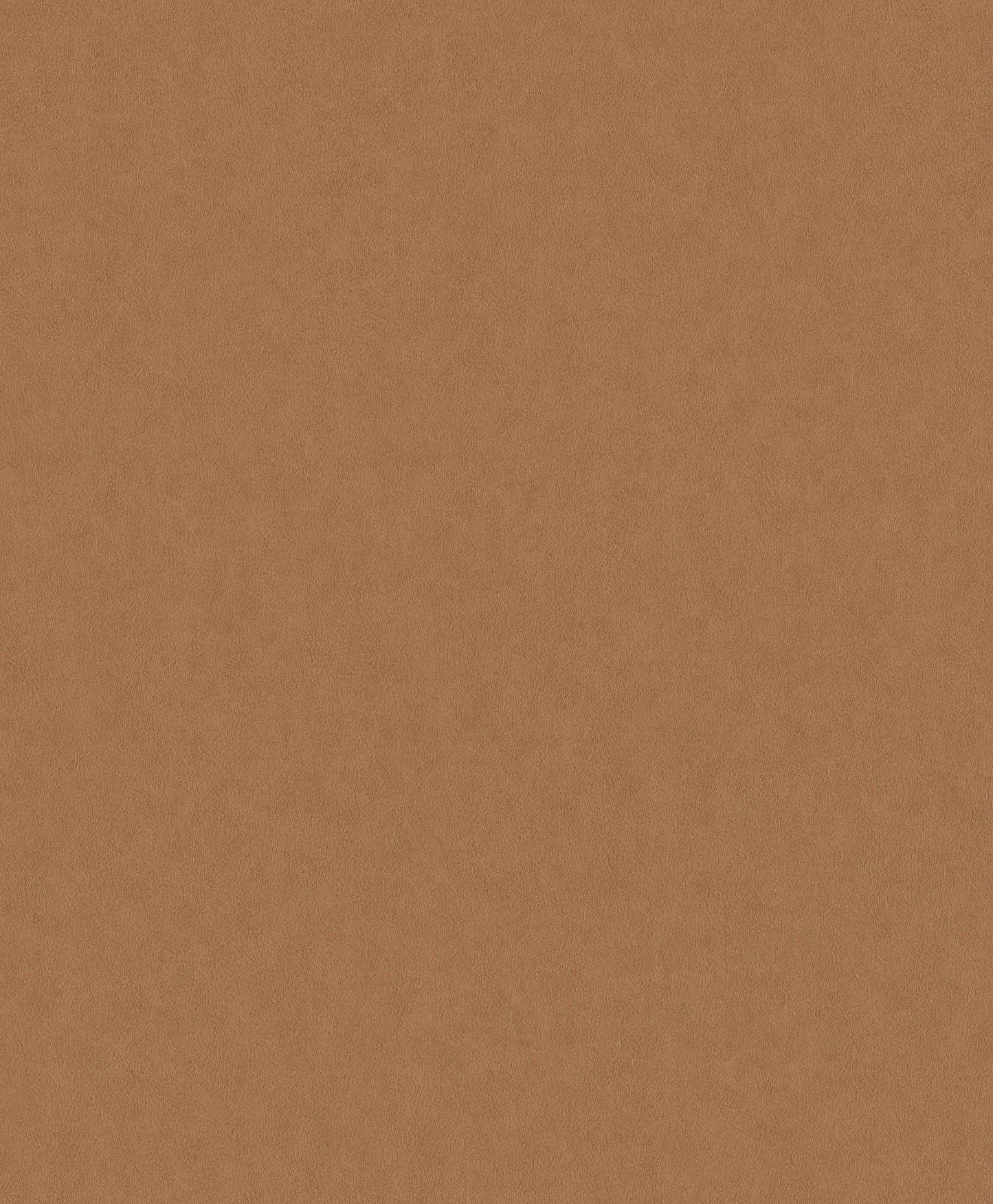 Papel Mural / 220505 (Grand Safari)