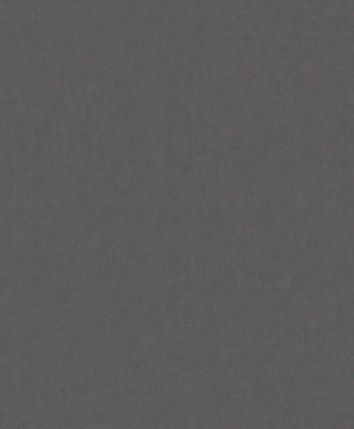 Papel Mural / 220506 (Grand Safari)