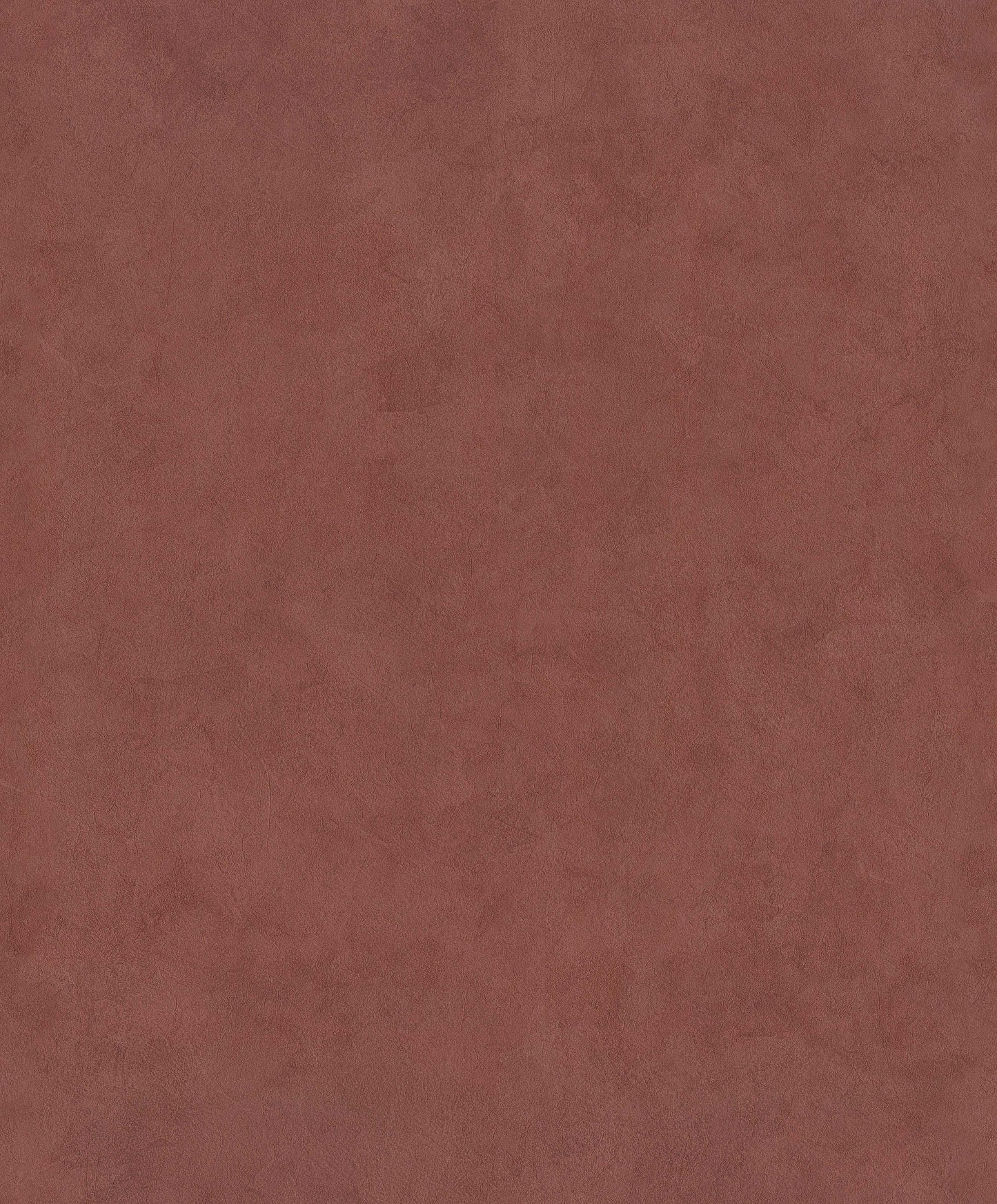 Papel Mural / 221061 (Imagine)