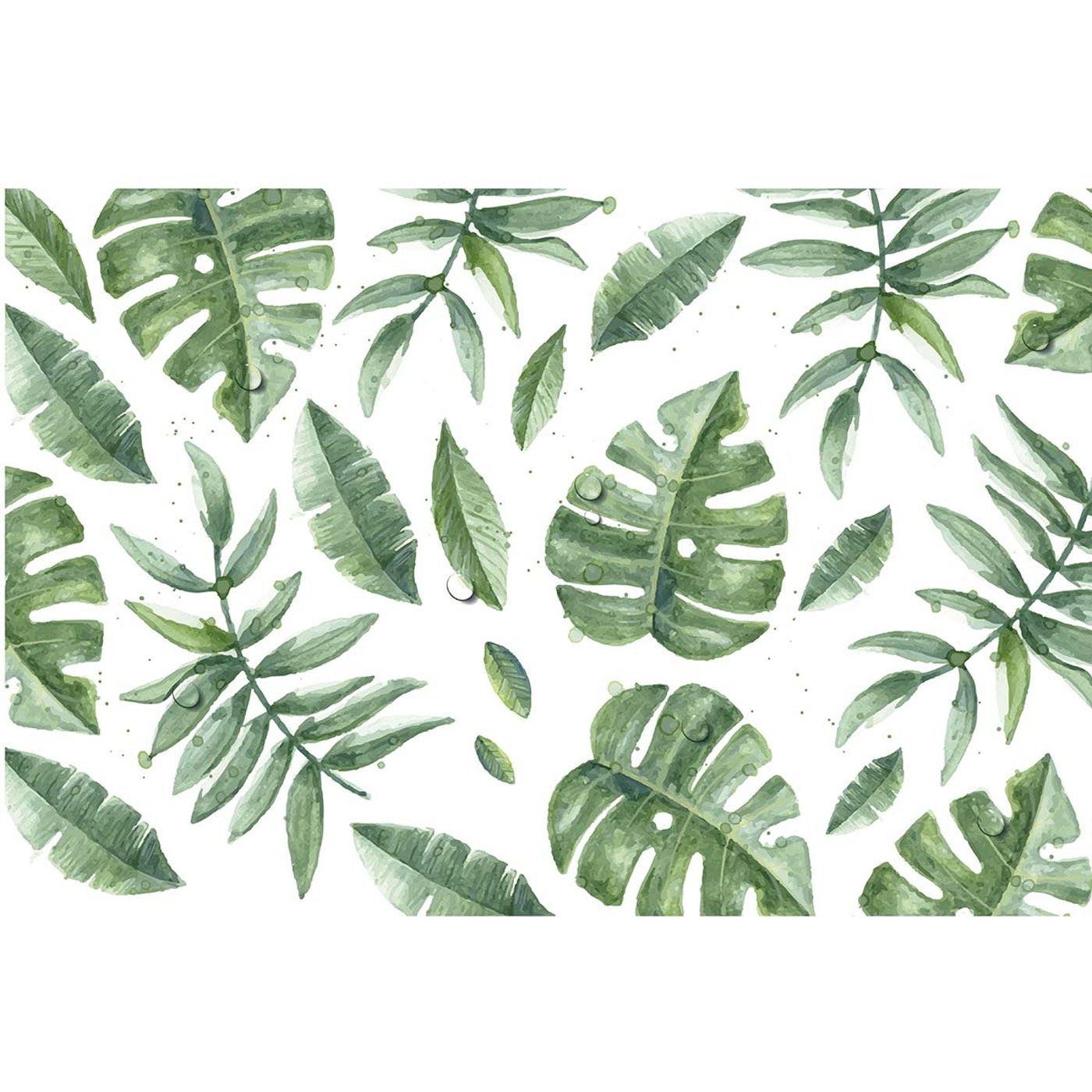 Set de 4 Individuales Vinilicos / Tropical