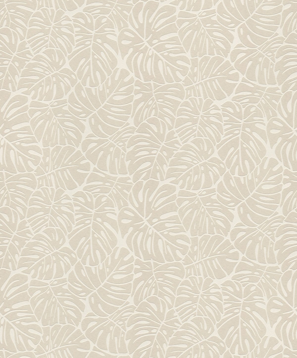 Papel Mural / 541533 (Botanique)