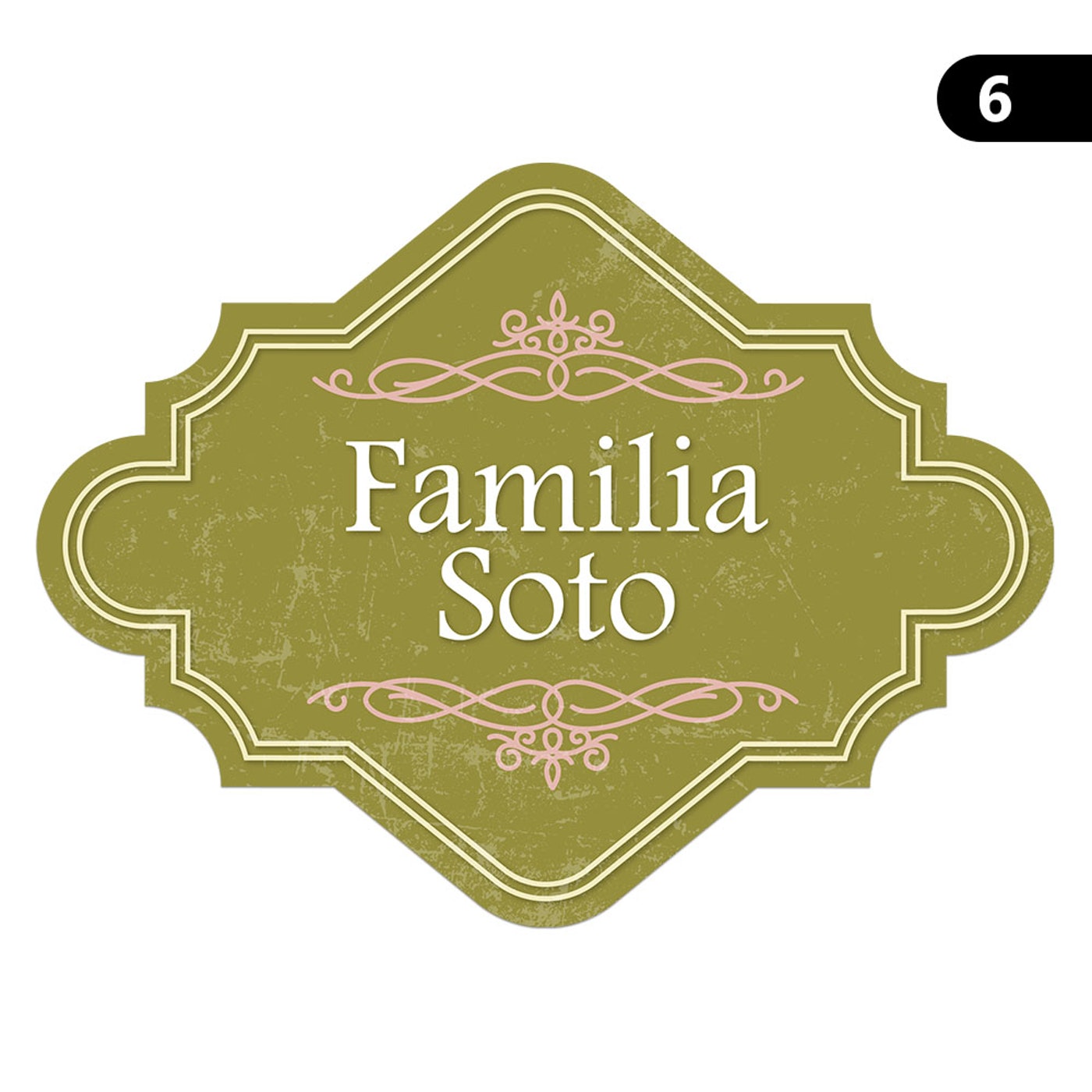 Set de 6 Individuales / Apellido Personalizado