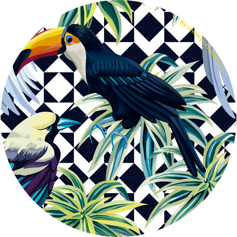 Set 4 Individuales / Tropical Birds
