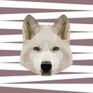 Cortina de Baño 004 Akita